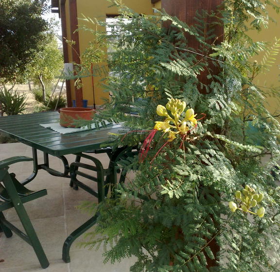 Bed and Breakfast Le Sete  | Bari | Bari | Italia 20