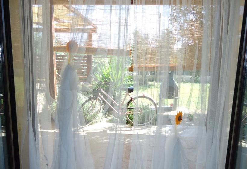 Bed and Breakfast Le Sete  | Bari | Bari | Italia 3