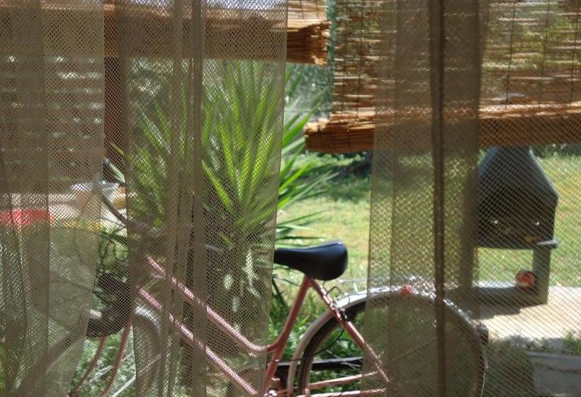 Bed and Breakfast Le Sete  | Bari | Bari | Italia 4