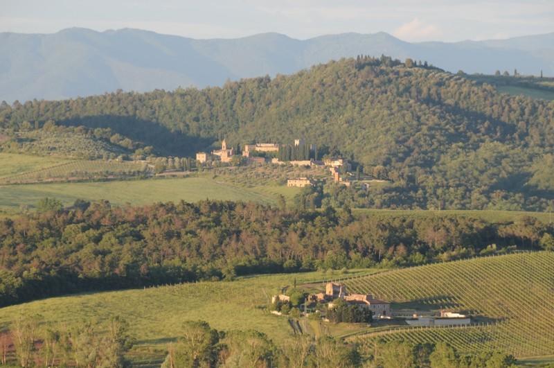 B&b Stella Del Germano  | Serre di Rapolano | Siena | Italia 17