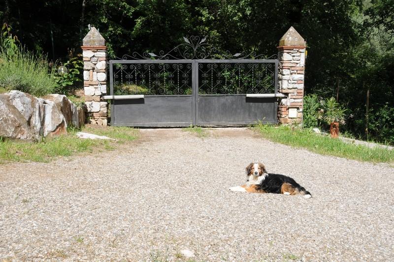 B&b Stella Del Germano  | Serre di Rapolano | Siena | Italia 7