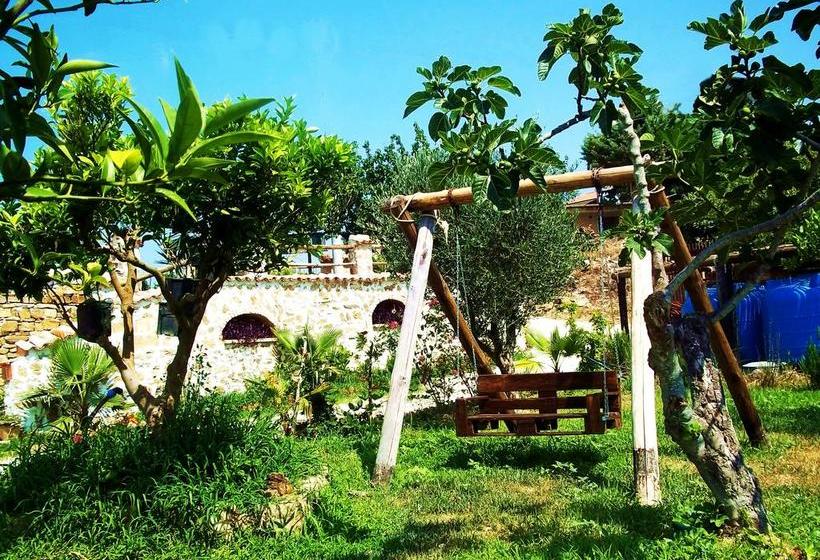 Bed and Breakfast Casale 920  | Agropoli | Salerno | Italia 18