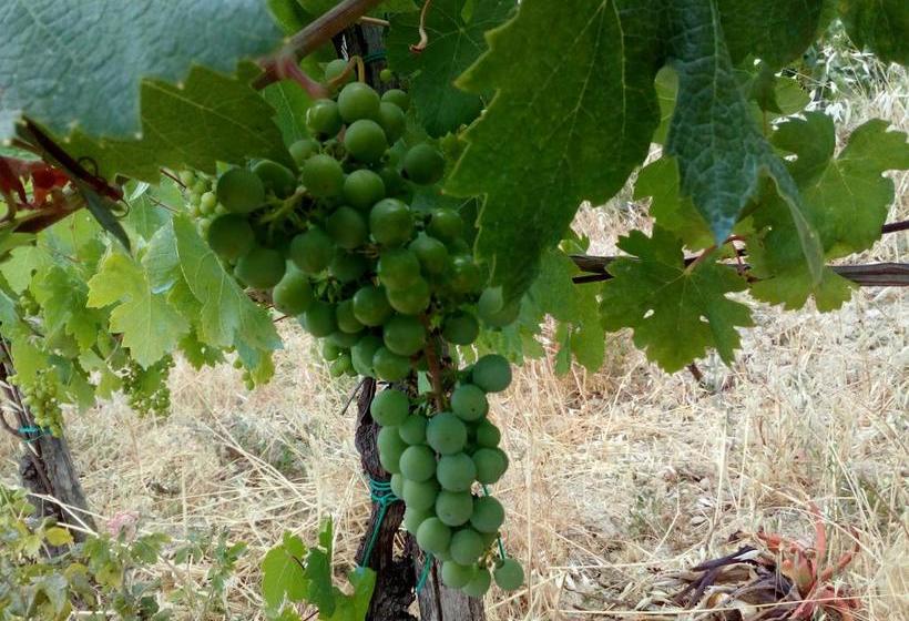 Bed and Breakfast Casale 920  | Agropoli | Salerno | Italia 7