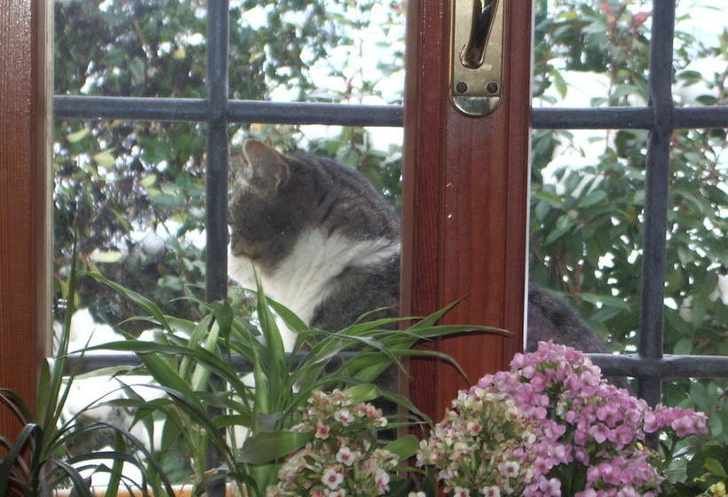 B&b La Pilastrina  | Maranello | Modena | Italia 11