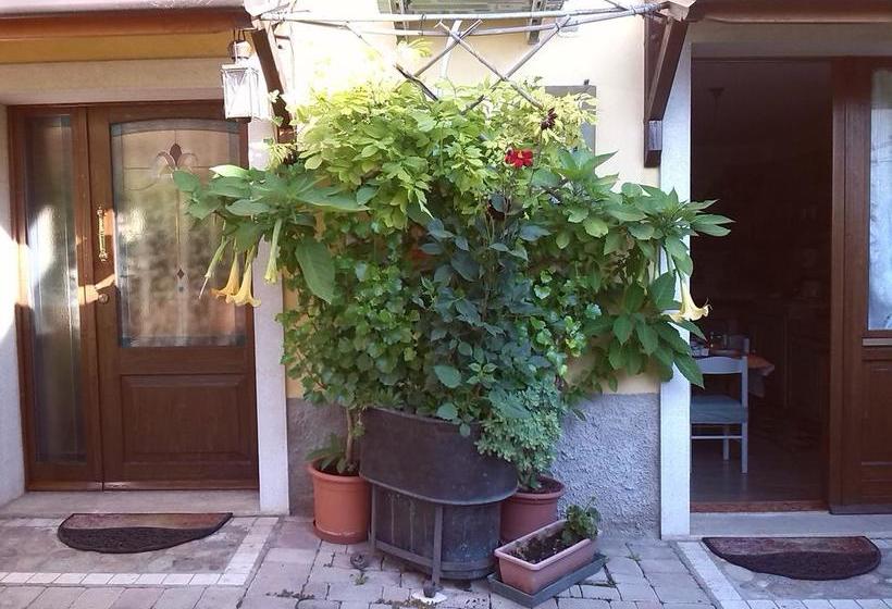 Bed and Breakfast La Carbonara 6  | Bardolino | Verona | Italia 4