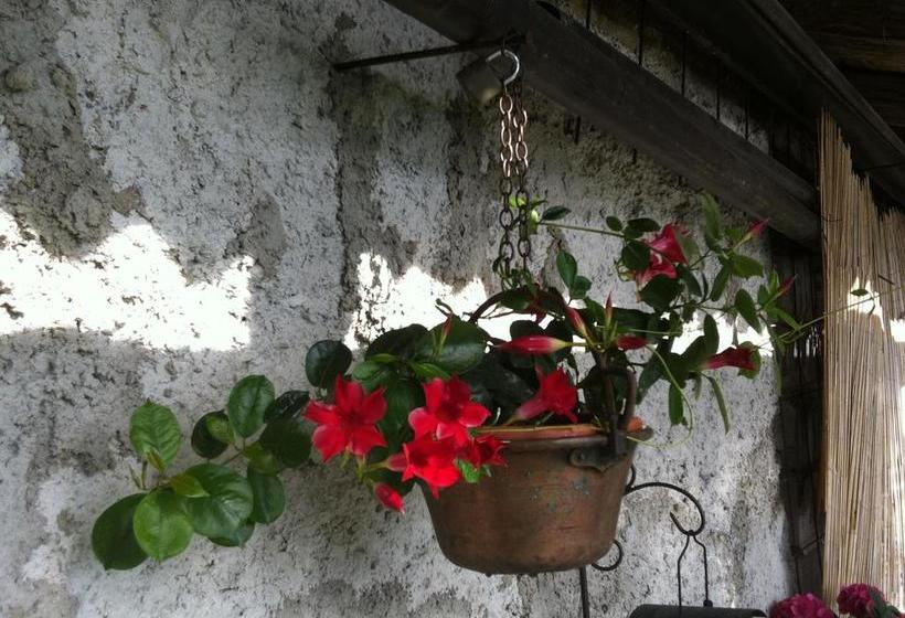 B&b Alba Sul Lago  | Pergine Valsugana | Trento | Italie 12