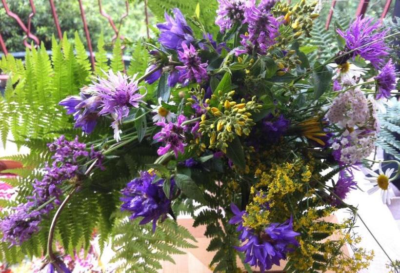 B&b Alba Sul Lago  | Pergine Valsugana | Trento | Italie 20