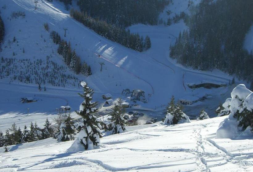 Hotel Grizzly  | Folgaria | Trento | Italia 7