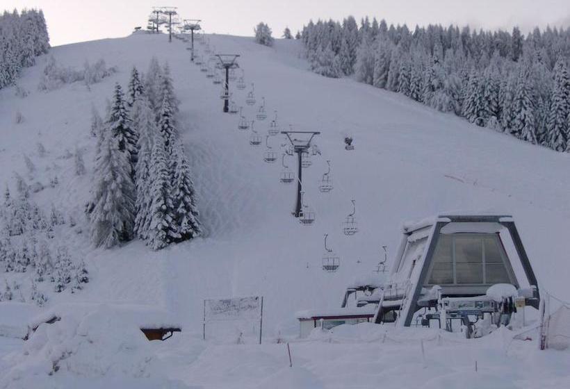 Hotel Grizzly  | Folgaria | Trento | Italia 8