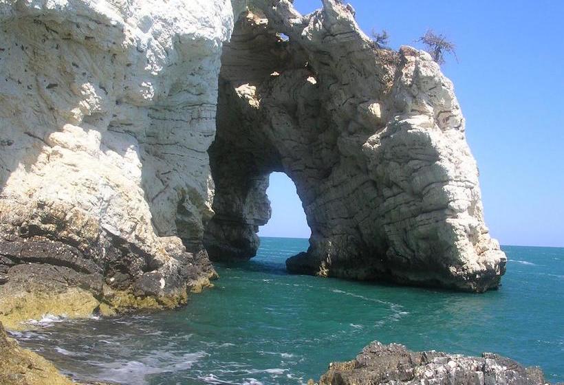 Hotel Maggiore  | Vieste | Foggia | Italia 20