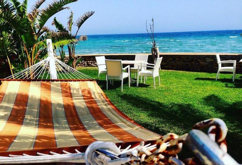 Hotel Lido Degli Scogli  | Crotone | Crotone | Italia 13