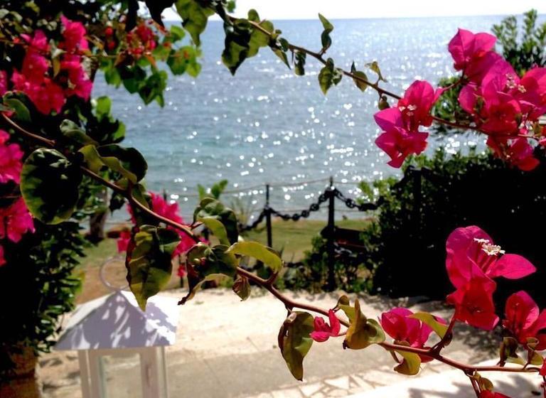 Hotel Lido Degli Scogli  | Crotone | Crotone | Italia 19