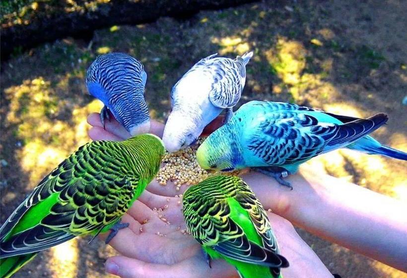 B&b La Gerbolina  | San Giusto Canavese | Torino | Italia 12