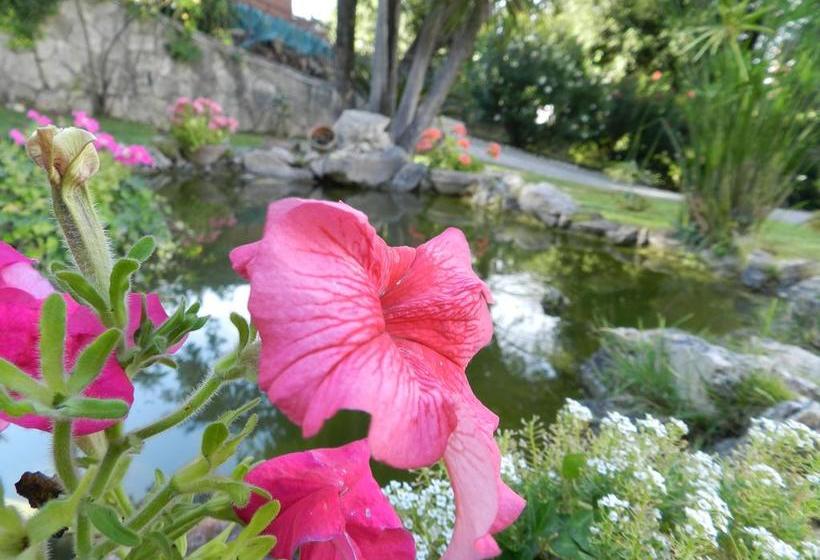 B&b Le Tre Civette  | Fonte Nuova | Rome | Italy 14