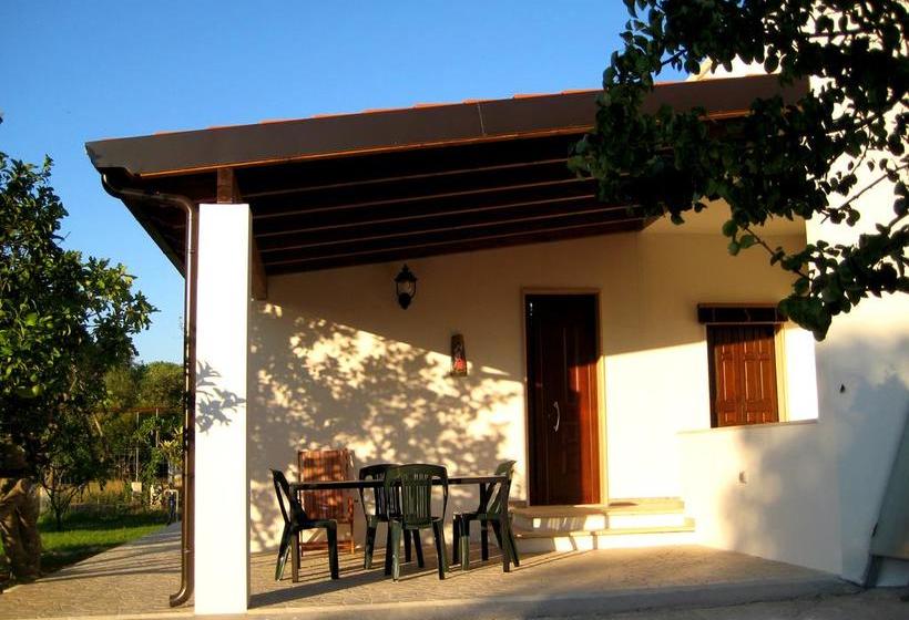 Terra Diletta B&b  | Cutrofiano | Lecce | Italia 15