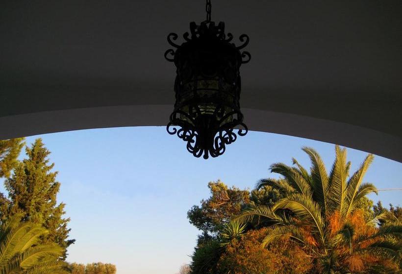 Terra Diletta B&b  | Cutrofiano | Lecce | Italia 17