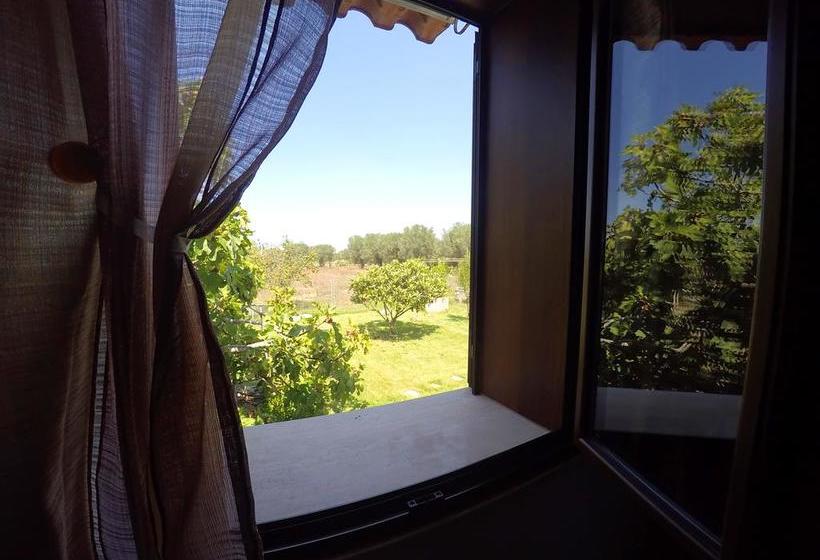 Terra Diletta B&b  | Cutrofiano | Lecce | Italia 3