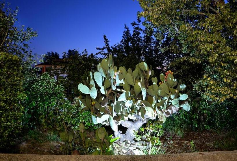 Terra Diletta B&b  | Cutrofiano | Lecce | Italia 8