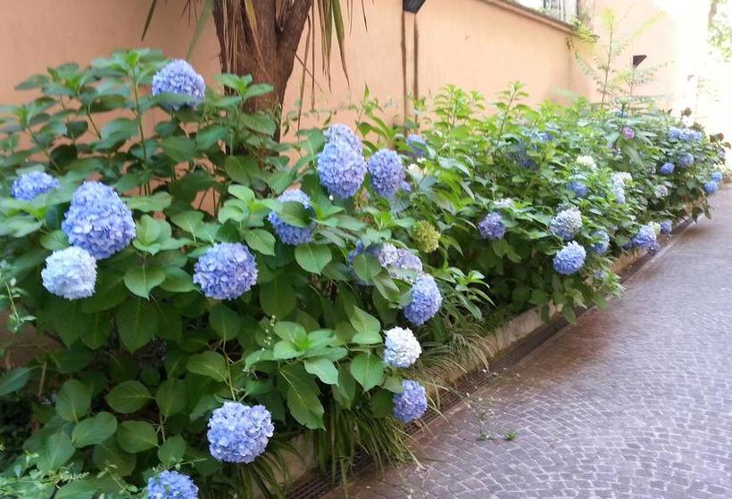Bed and Breakfast Bb Tuscolo  | Roma | Roma | Italia 1