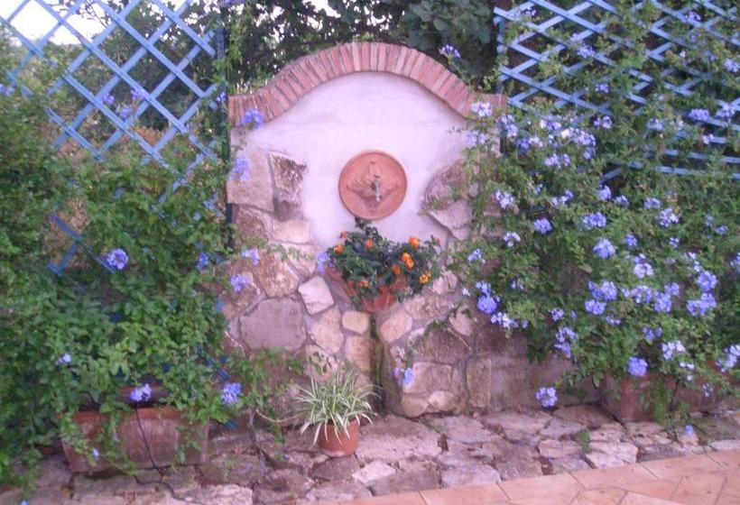 Bed and Breakfast Il Glicine Di Carmen Latina