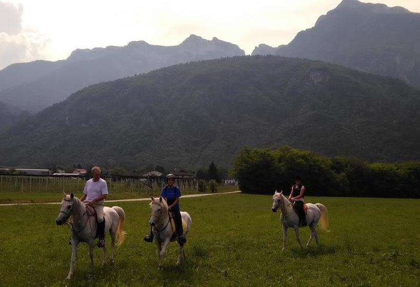 B&b Airone  | Levico Terme | Trento | Italia 11