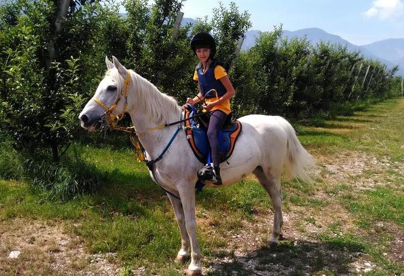 B&b Airone  | Levico Terme | Trento | Italia 12