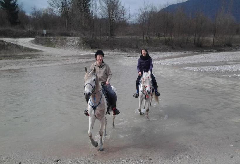 B&b Airone  | Levico Terme | Trento | Italia 15