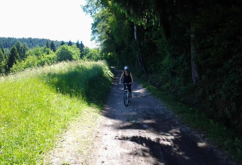 B&b Airone  | Levico Terme | Trento | Italia 19