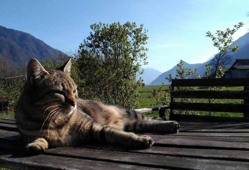 B&b Airone  | Levico Terme | Trento | Italia 8