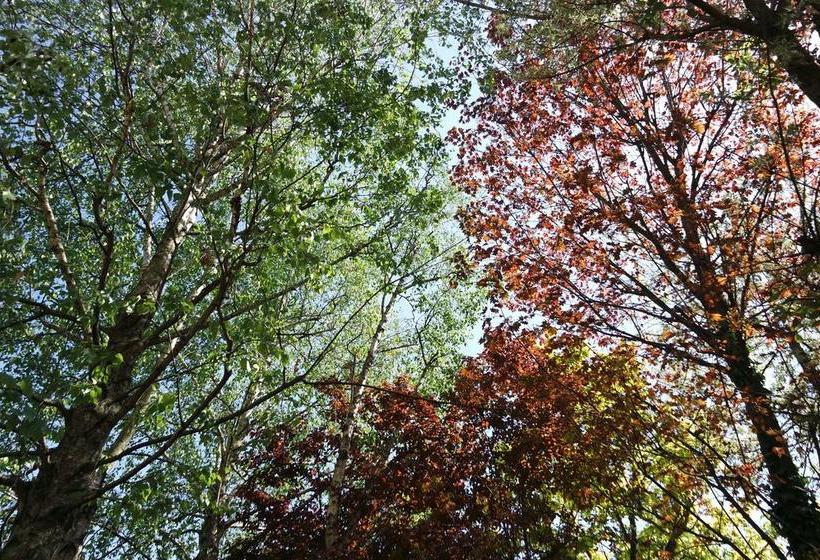 Bed and Breakfast Affittacamere Marisa  | Valeggio sul Mincio | Verona | Italy 13