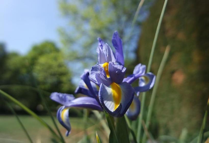 Bed and Breakfast Affittacamere Marisa  | Valeggio sul Mincio | Verona | Italy 17