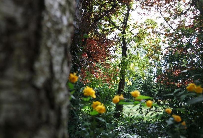 Bed and Breakfast Affittacamere Marisa  | Valeggio sul Mincio | Verona | Italy 3