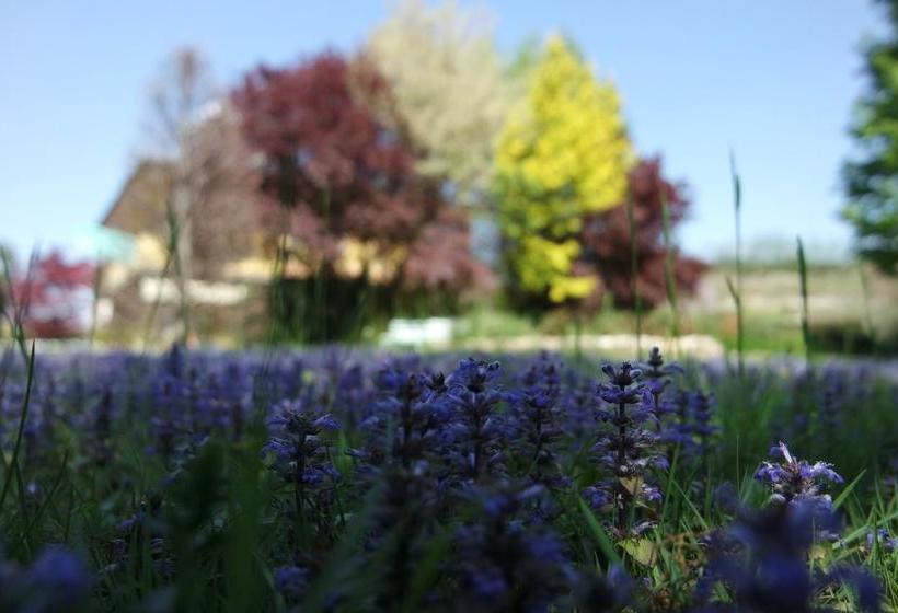 Bed and Breakfast Affittacamere Marisa  | Valeggio sul Mincio | Verona | Italy 8