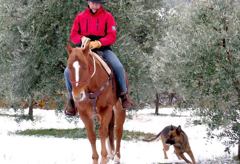 Bed and Breakfast Paglia E Fieno  | Villaga | Vicenza | Italia 12