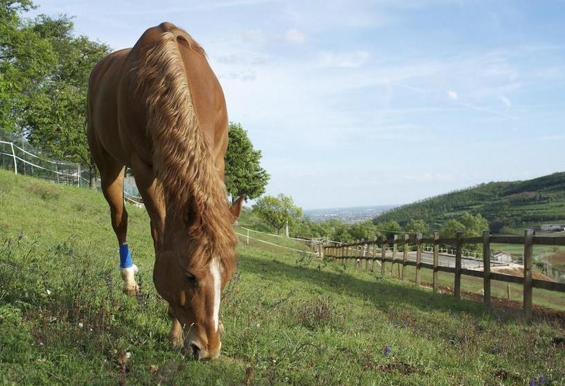 Bed and Breakfast Paglia E Fieno  | Villaga | Vicenza | Italia 14