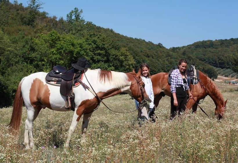 Bed and Breakfast Paglia E Fieno  | Villaga | Vicenza | Italia 15