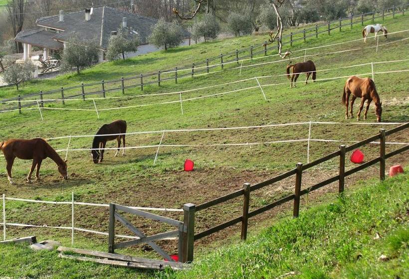 Bed and Breakfast Paglia E Fieno  | Villaga | Vicenza | Italia 19