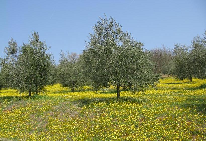 Bed and Breakfast Paglia E Fieno  | Villaga | Vicenza | Italia 20