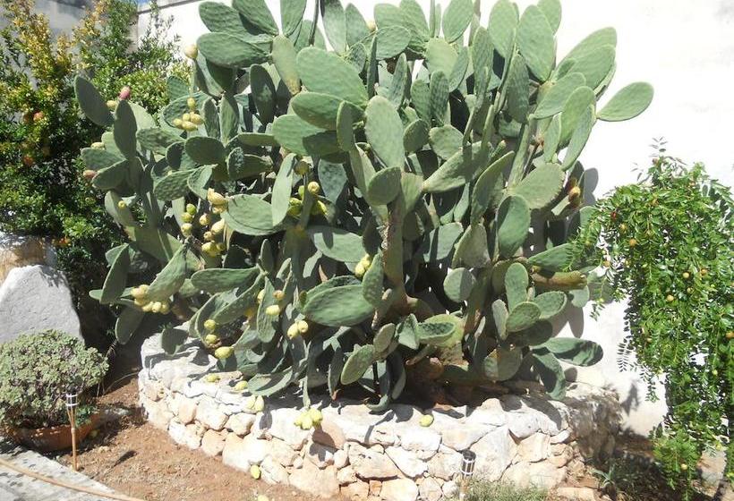 Bed and Breakfast Le Schiavelle  | Surbo | Lecce | Italia 20