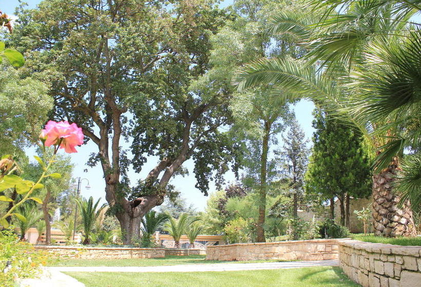 Il Portico Luxury B&b  | Cassano Murge | Bari | Italien 2