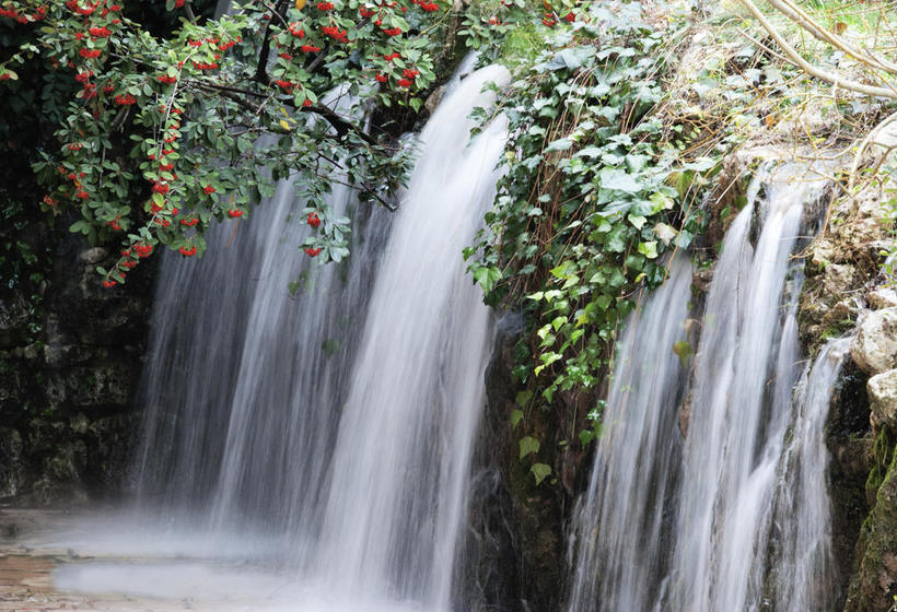 Il Portico Luxury B&b  | Cassano Murge | Bari | Italien 9