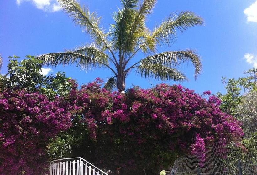 Bed and Breakfast Casa Di Valentina  | Monreale | Palermo | Italia 4