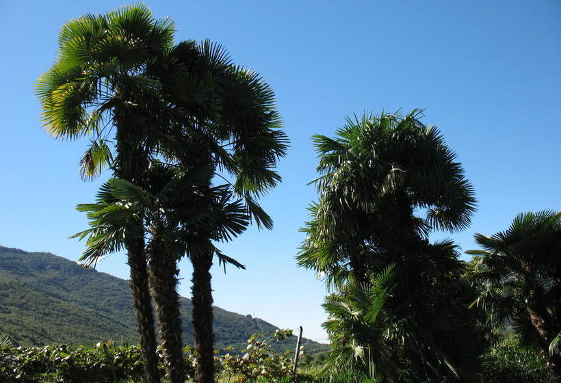 Hotel Albergo Cattoi  | Arco | Trento | Italia 10