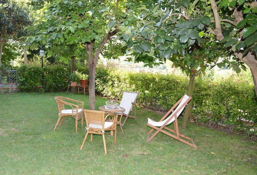 B&b Antonietta  | San Miniato | Florence | Italia 7