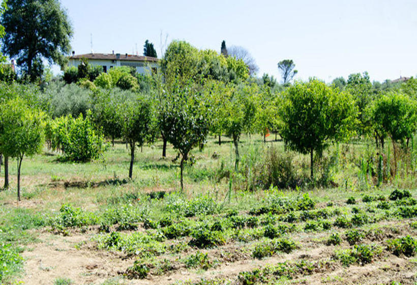 B&b Antonietta  | San Miniato | Florence | Italia 9