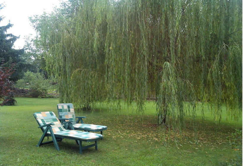 Bed & Breakfast Milù  | Cuneo | Cuneo | Italia 20