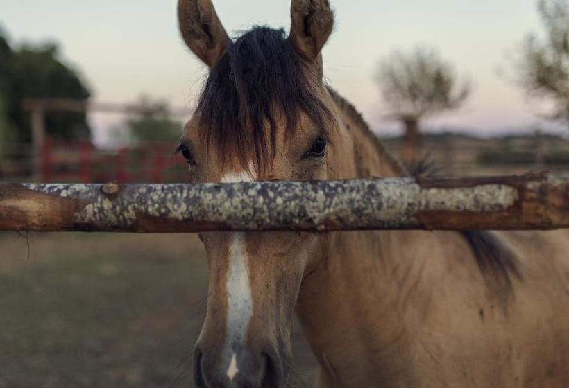 Bed and Breakfast El Molino  | Fonteblanda | Grosseto | Italia 15