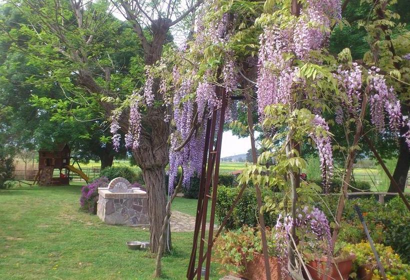 Bed and Breakfast El Molino  | Fonteblanda | Grosseto | Italia 4