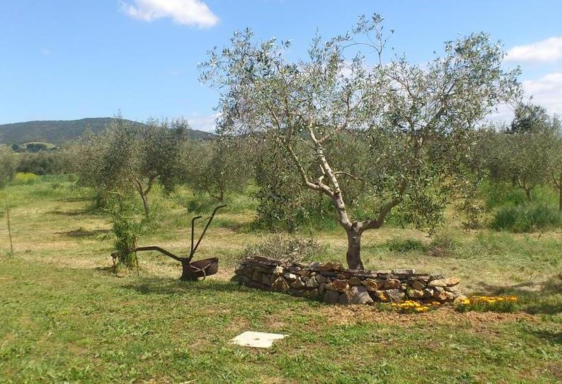 Bed and Breakfast El Molino  | Fonteblanda | Grosseto | Italia 9