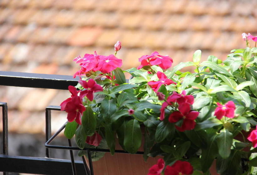 B&b Casa Venezia  | Bernalda | Matera | Italia 13